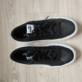 Puma tossud