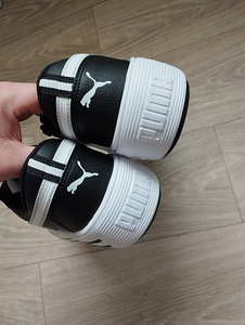 Puma tossud (3 foto / 3)