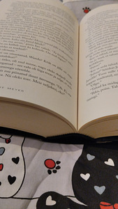 Stephanie Meyer " Keha " (3 foto / 7)