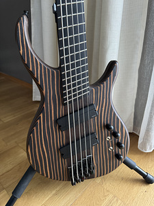 Bass guitar special crafted (1 foto / 5)