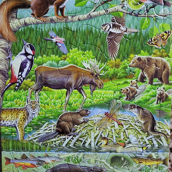 Puzzle Larsen 11tk