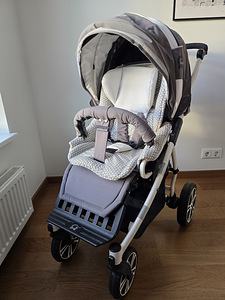 Коляска 2 в 1 Gesslein F4 Air+ (2 фото из 9)
