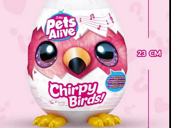 Pets Alive