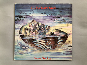 Steve Hackett/ набор из 5 виниловых пластинок (10 фото из 10)