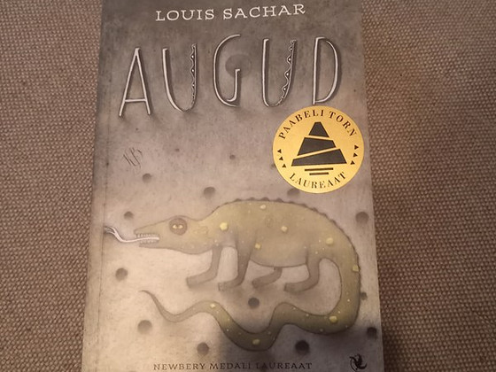 Продать книгу Дыры.