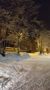 Otsin tööd (1 foto / 1)