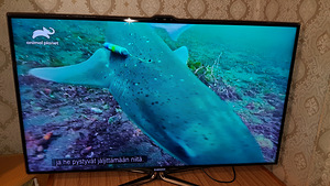 Телевизор Samsung (2 фото из 10)