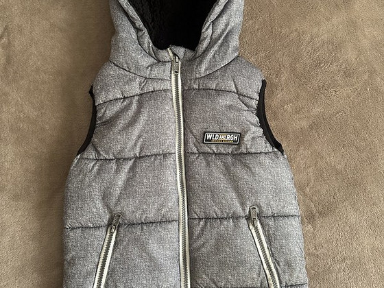 Vest