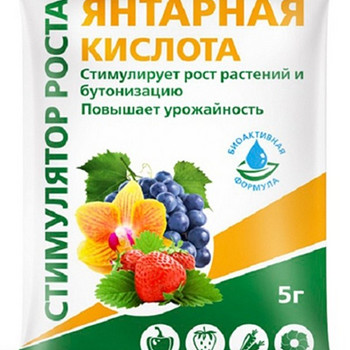 Борная и янтарная кислота