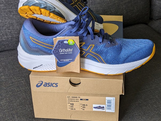 Asics GT1000
