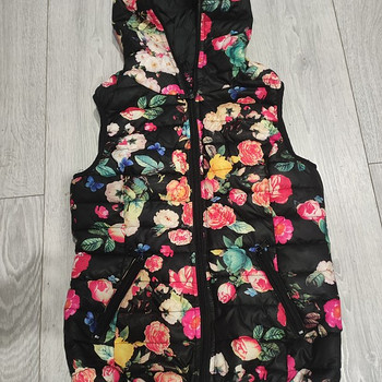 Naiste vest