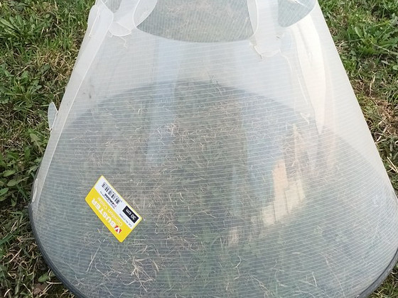 Buster, suure koera kaelus 30cm
