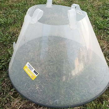 Buster, suure koera kaelus 30cm