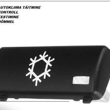 Autokliima. Konditsioneeride täitmine testimine r134a Nõmmel