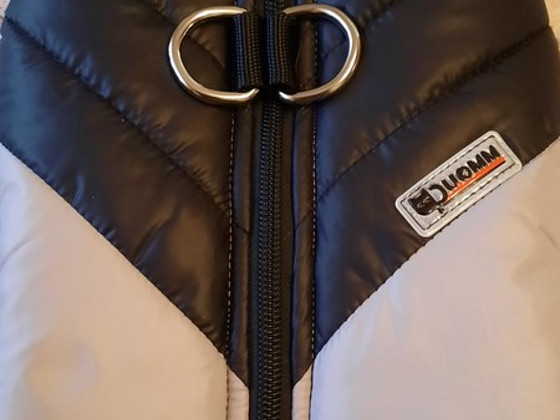 Vest koertele
