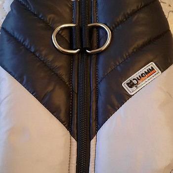 Vest koertele