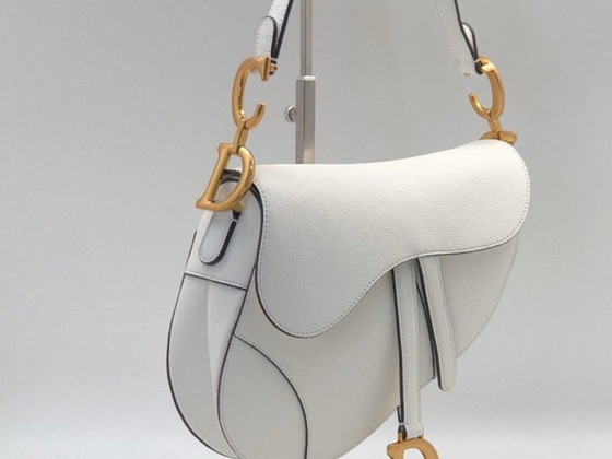 Dior Saddle bag