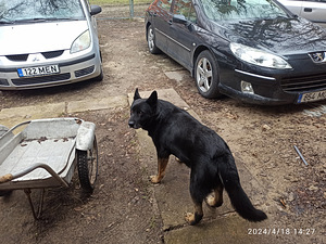 Вязка бесплатно. (2 фото из 3)