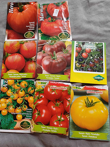 Растения (3 фото из 4)
