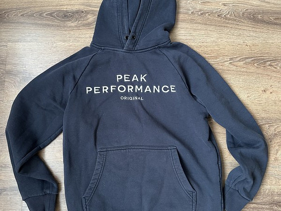 Толстовка Peek Performance