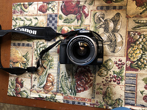 Цифровая фотокамера Canon EOS D400 без объектива (отдельно) (1 фото из 5)