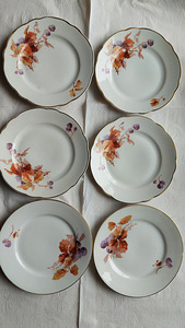 Langebraun (6 фото из 10)