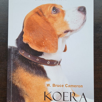 Книга «Собачье путешествие» У. Брюса Кэмерона