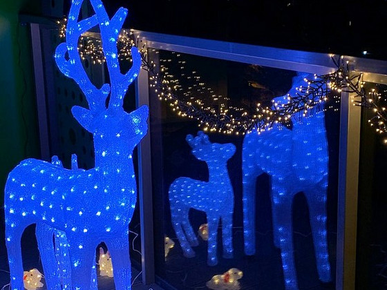 2 LED-valgustusega hirve (60 ja 105 cm) õues kasutamiseks