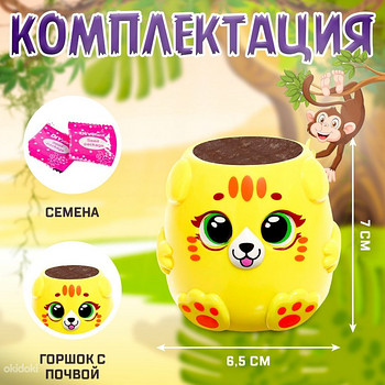 Lastele katsekomplekt