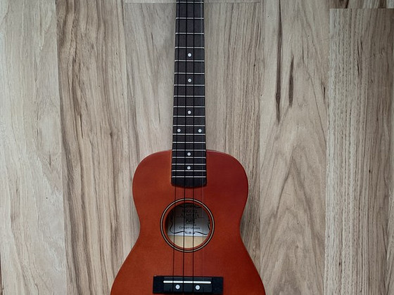 KONTSERT UKULELE