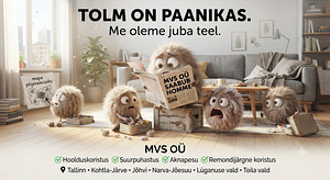 Maja/korteri/ruumide koristamine (5 foto / 9)