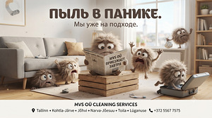 Maja/korteri/ruumide koristamine (6 foto / 9)