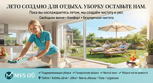 Maja/korteri/ruumide koristamine (8 foto / 9)