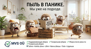 Maja/korteri/ruumide koristamine (9 foto / 9)