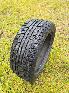 Dunlop Graspic DS2 205/55 r16 (6 мм) (2 фото из 9)