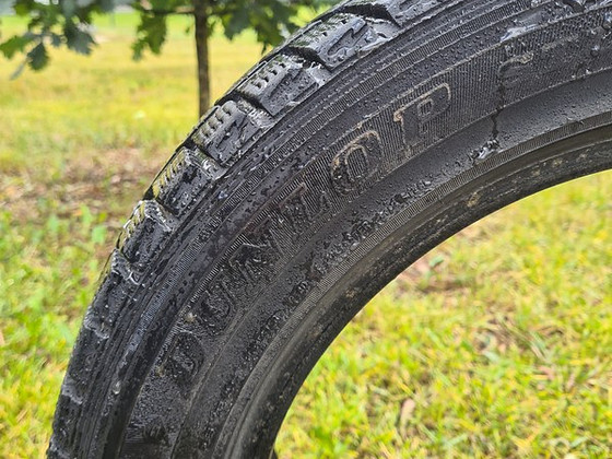 Dunlop Graspic DS2 205/55 r16 (6 мм)