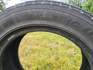 Dunlop Graspic DS2 205/55 r16 (6 мм) (5 фото из 9)
