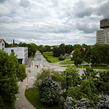 A. Puškini tn 21, Kalevi, Narva, Ida-Virumaa