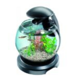 Все для аквариумов (1 фото из 10)