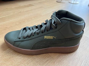 Puma tossud (2 foto / 6)