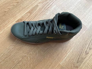 Puma tossud (3 foto / 6)