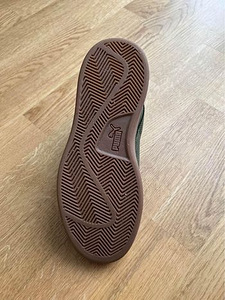 Puma tossud (5 foto / 6)