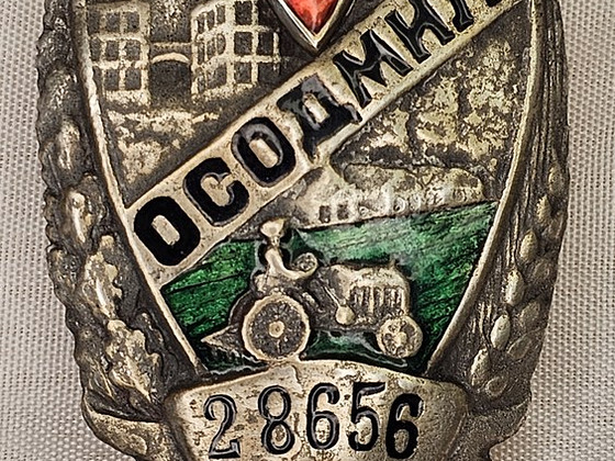 Знак Общества содействия миитеси и учреждениям уголовного розыска.