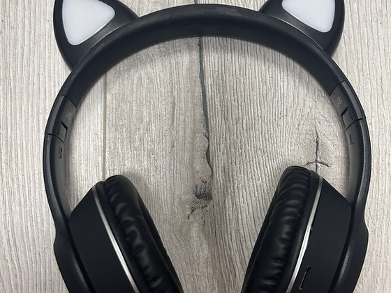 Kõrvaklapid koos kõrvadega