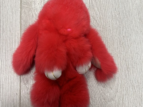 Заяц