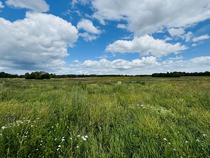 Hiiumaa vald, Hiiumaa (2 foto / 11)