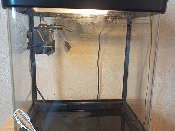 Akvaarium + filter
