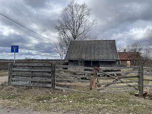 Koljala, Lüganuse vald, Ida-Virumaa (4 foto / 11)