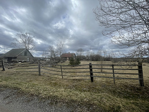 Koljala, Lüganuse vald, Ida-Virumaa (2 foto / 11)