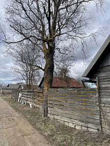 Koljala, Lüganuse vald, Ida-Virumaa (10 foto / 11)